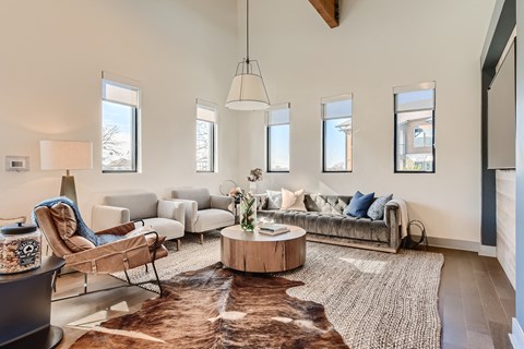 a living room with couches and chairs and a rug